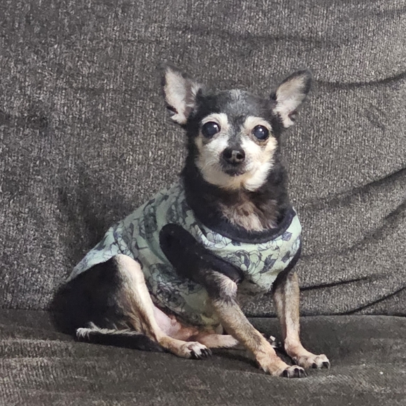 Meet your Posher, Zerimar - Picture 2 of 2